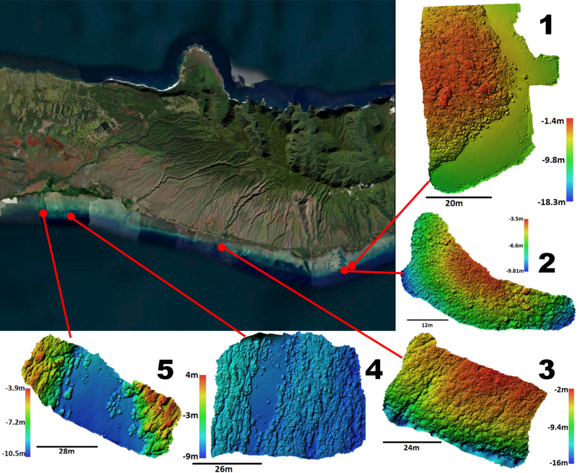 Overview of our 3D Reconstruction and Rugosity Analysis Framework